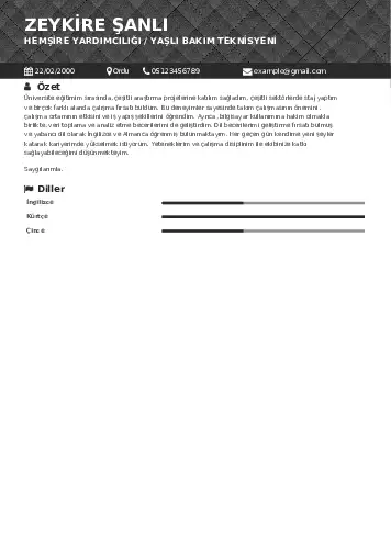 Hasta ve Yaşlı Bakım Elemanı Cv Örnekleri cv indir